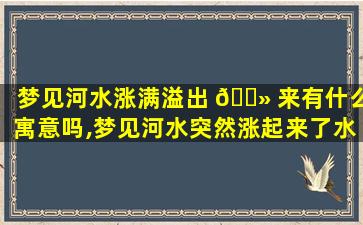 梦见河水涨满溢出 🌻 来有什么寓意吗,梦见河水突然涨起来了水流很急